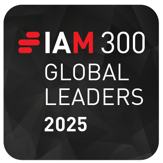 iam300