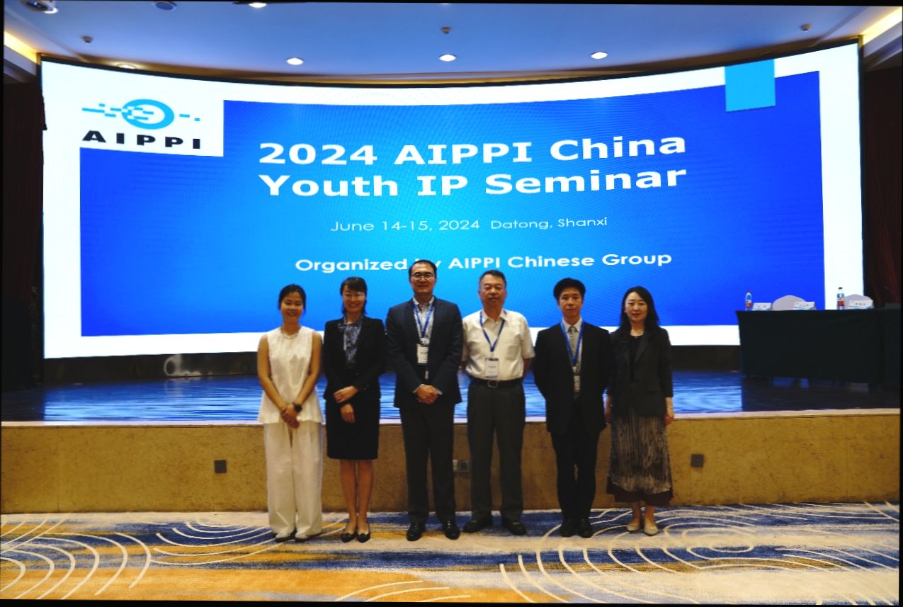 AIPPI 大同1 new