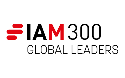 IAM 300 IAM 300